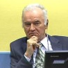 Мандић оптужио муслиманске екстремисте за рат 
