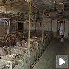 Препоруку ММФ-а примили са резервом