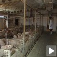 Препоруку ММФ-а примили са резервом