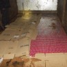 Заплењено 35.000 паклица цигарета