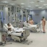 Трансплантације бубрега у Нишу