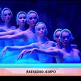 Културни дневник