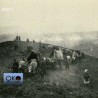 Колубара, час стратегије 