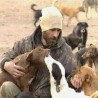 Неизвесна судбина паса