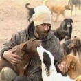 Неизвесна судбина паса