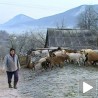 Обнављају сеоске куће, крче зарасла имања