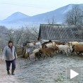 Обнављају сеоске куће, крче зарасла имања