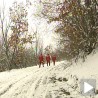 На коњу до лекара