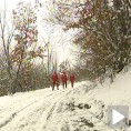 На коњу до лекара