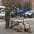 Кривична пријава због злостављања коња
