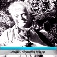 Културни дневник