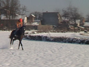 Новогодишње коњичке трке
