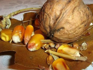 Фамилиологија