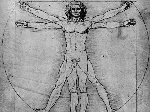 Културни кругови: Златни пресек