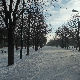Ноћне променаде (недеља на понедељак, 11–12. јануар) 