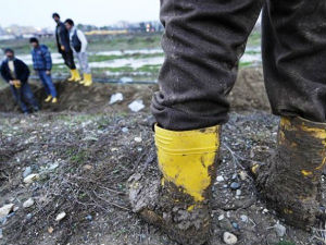 Таласање - Пусти причу