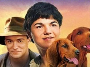 Где расте црвена папрат 