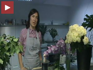 Каћине цветне скулптуре 