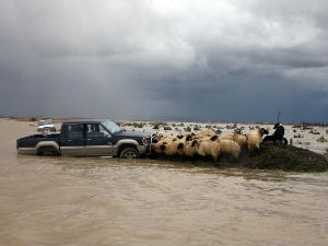 Поплаве, стотине евакуисаних у Албанији и Македонији