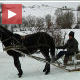 Саонице као алтернатива  