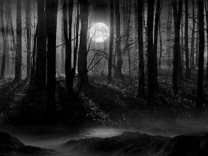 Таласање - Земља чуда