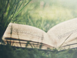 Културни кругови: Гутенбергов одговор