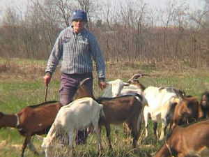 Јагода, Сребра, Жужа, Гара...