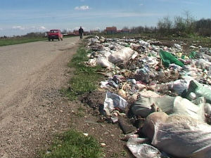 Лешеви угинулих животиња на депонијама