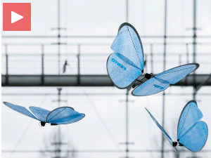 Лептир или дрон?