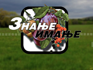Знање имање