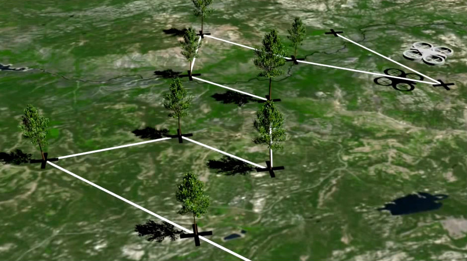 Дроновима ће засадити милијарду стабала за годину дана!