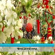 Културни дневник