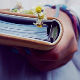 Лексикон 202