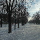Ноћне променаде (недеља–понедељак, 26–27. април 2015)