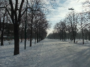 Ноћне променаде (недеља–понедељак, 26–27. април 2015)