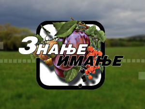 Знање имање