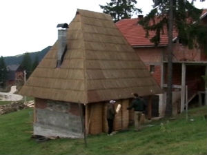 Сасвим природно: Још то мало душе