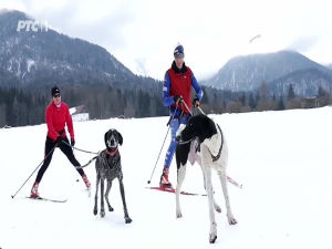 Сасвим природно: Едо и Нуша