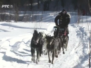 Сасвим природно: Ми смо тим "Арарад"