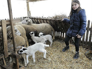 Квадратура круга: Мајка деветоро деце и огњиште