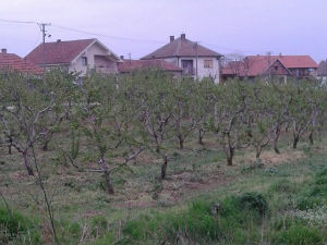 Недељом за село