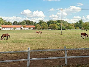 Недељом за село