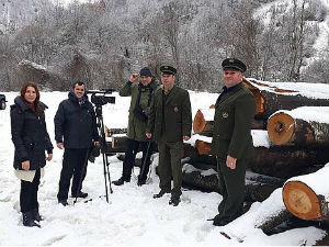 Право на сутра: Сеча шума