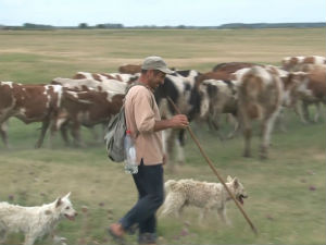 Сасвим природно: Јараш Пуста, први део