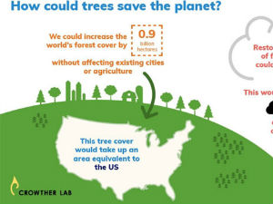Дрвеће може спасти планету, тврде научници