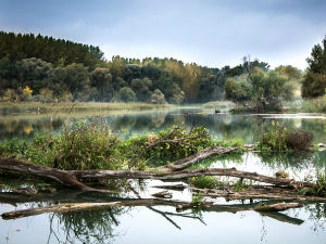 Речено и прећутано