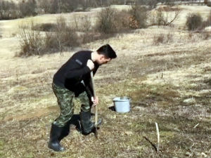 Где год нађеш згодно место, ту дрво посади