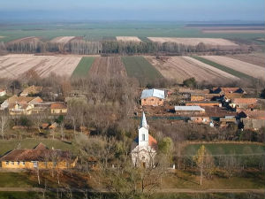 Чеси у Србији, први део