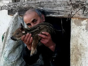 Од њиве до трпезе и назад