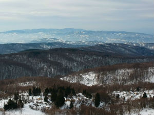 Завејани